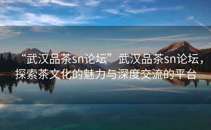 “武漢品茶sn論壇”武漢品茶sn論壇，探索茶文化的魅力與深度交流的平臺