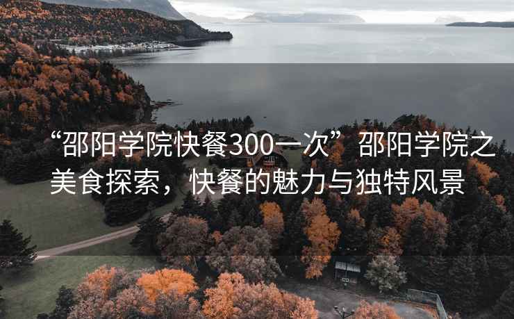 “邵陽(yáng)學(xué)院快餐300一次”邵陽(yáng)學(xué)院之美食探索，快餐的魅力與獨特風(fēng)景