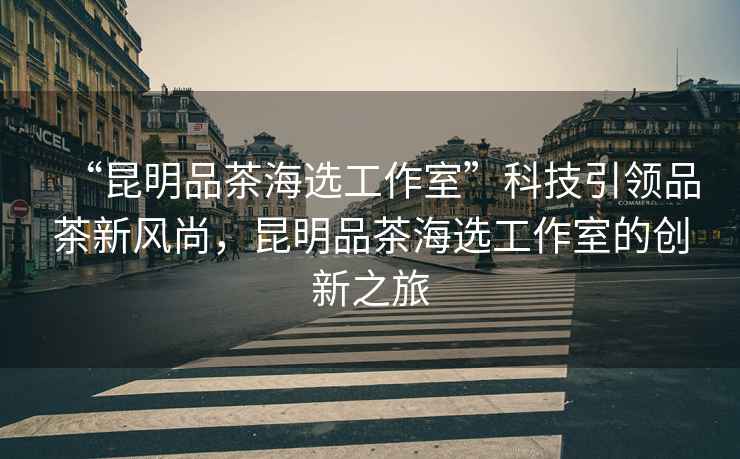 “昆明品茶海選工作室”科技引領(lǐng)品茶新風(fēng)尚，昆明品茶海選工作室的創(chuàng  )新之旅