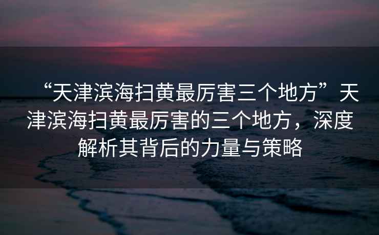“天津濱海掃黃最厲害三個(gè)地方”天津濱海掃黃最厲害的三個(gè)地方，深度解析其背后的力量與策略