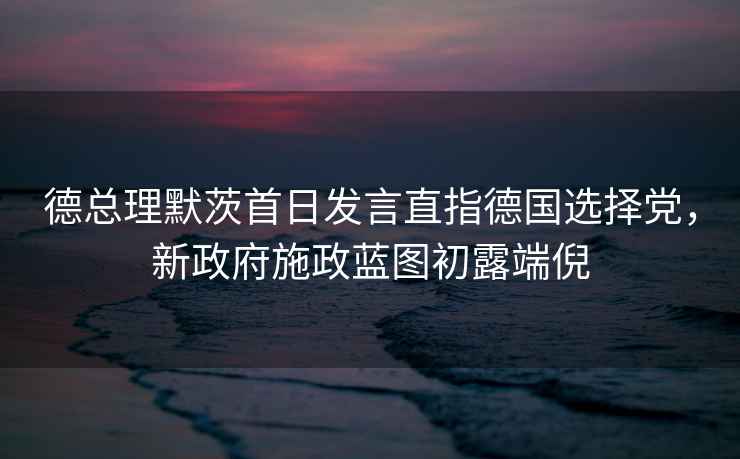 德總理默茨首日發(fā)言直指德國選擇黨，新政府施政藍圖初露端倪