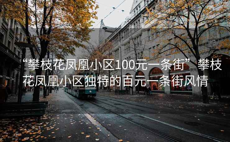 “攀枝花鳳凰小區100元一條街”攀枝花鳳凰小區獨特的百元一條街風(fēng)情