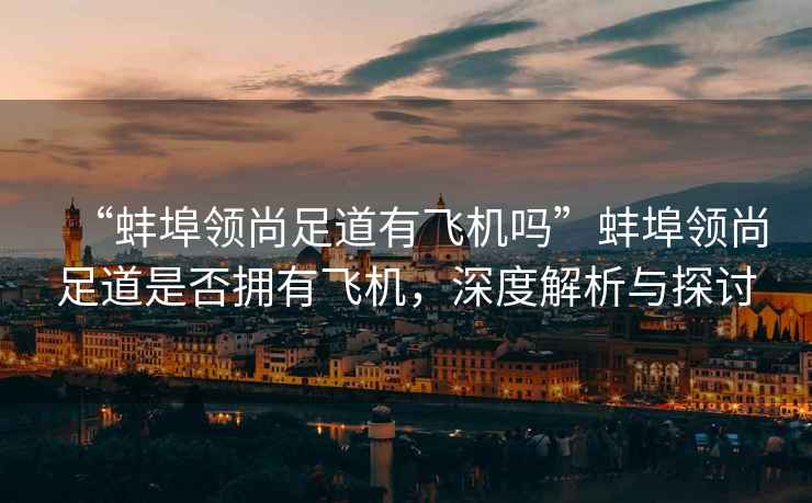 “蚌埠領(lǐng)尚足道有飛機嗎”蚌埠領(lǐng)尚足道是否擁有飛機，深度解析與探討