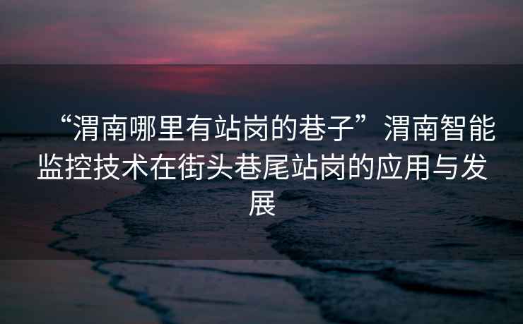 “渭南哪里有站崗的巷子”渭南智能監控技術(shù)在街頭巷尾站崗的應用與發(fā)展