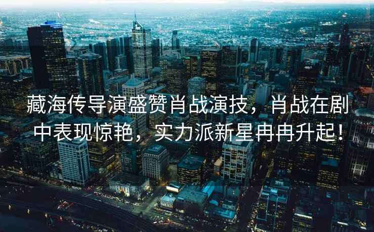 藏海傳導演盛贊肖戰演技，肖戰在劇中表現驚艷，實(shí)力派新星冉冉升起！