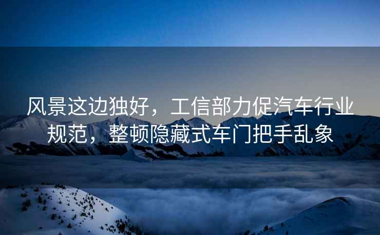 風(fēng)景這邊獨好，工信部力促汽車(chē)行業(yè)規范，整頓隱藏式車(chē)門(mén)把手亂象