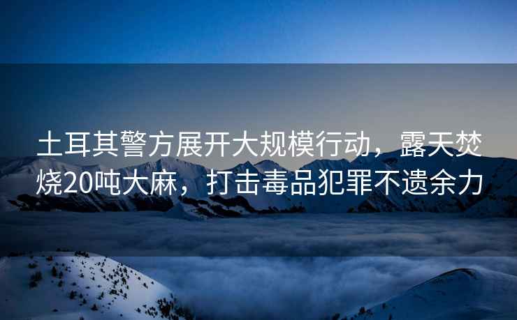土耳其警方展開(kāi)大規模行動(dòng)，露天焚燒20噸大麻，打擊毒品犯罪不遺余力
