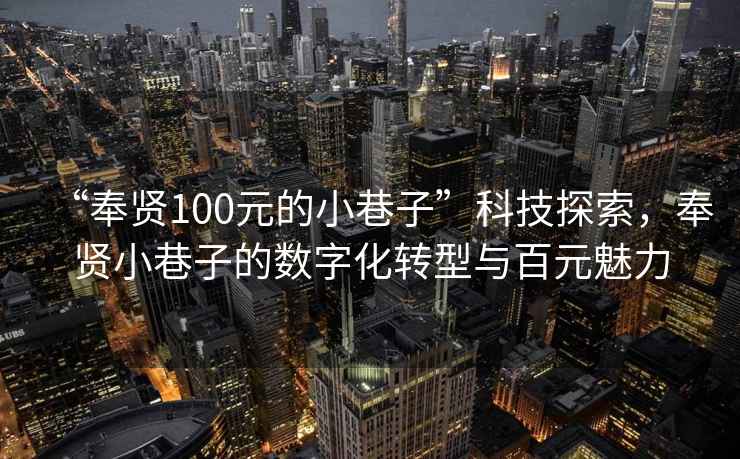 “奉賢100元的小巷子”科技探索，奉賢小巷子的數字化轉型與百元魅力