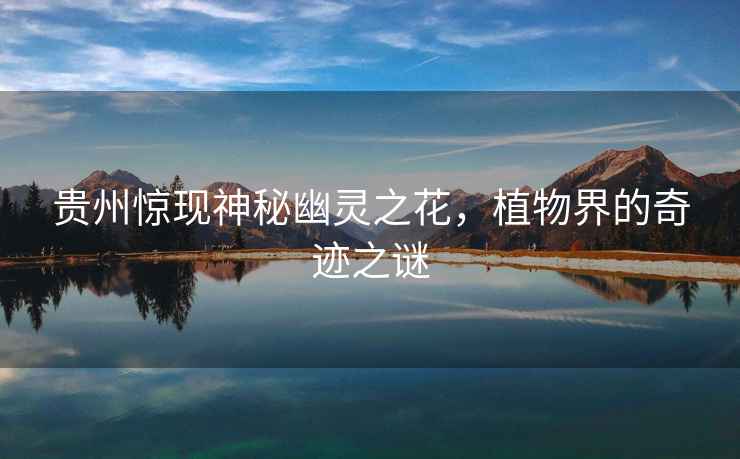 貴州驚現神秘幽靈之花，植物界的奇跡之謎