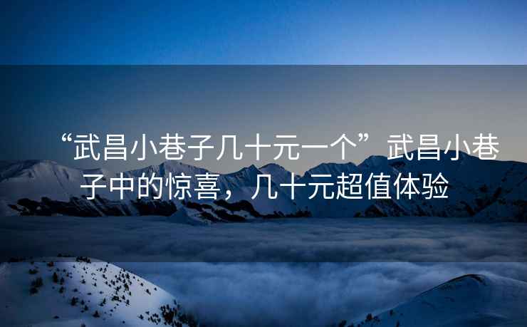“武昌小巷子幾十元一個(gè)”武昌小巷子中的驚喜，幾十元超值體驗