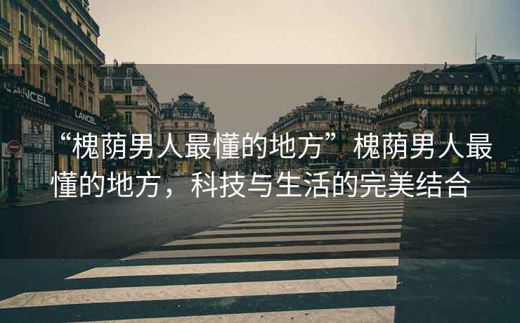 “槐蔭男人最懂的地方”槐蔭男人最懂的地方，科技與生活的完美結合