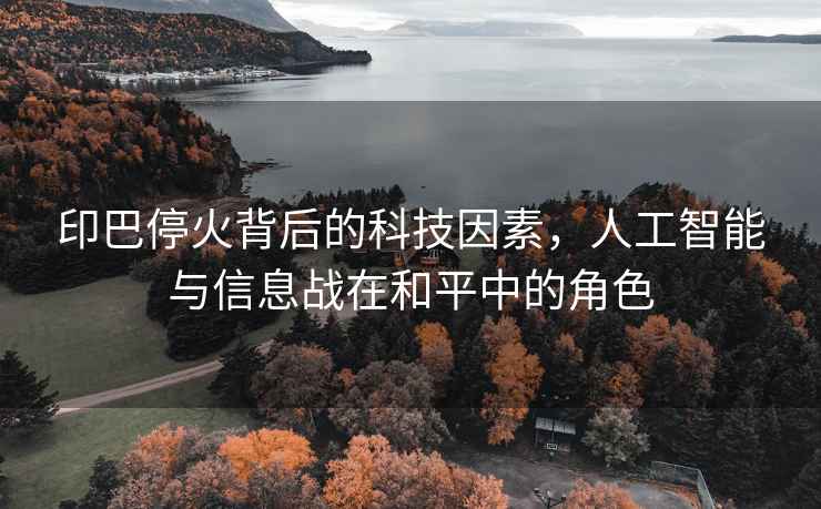 印巴?；鸨澈蟮目萍家蛩?，人工智能與信息戰在和平中的角色