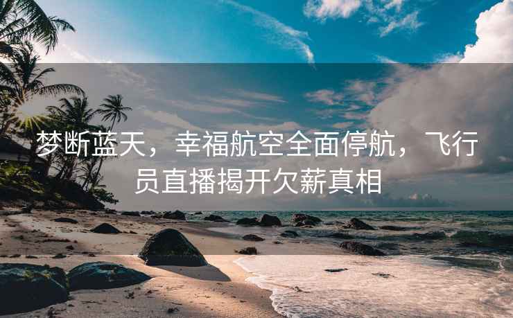 夢(mèng)斷藍天，幸福航空全面停航，飛行員直播揭開(kāi)欠薪真相