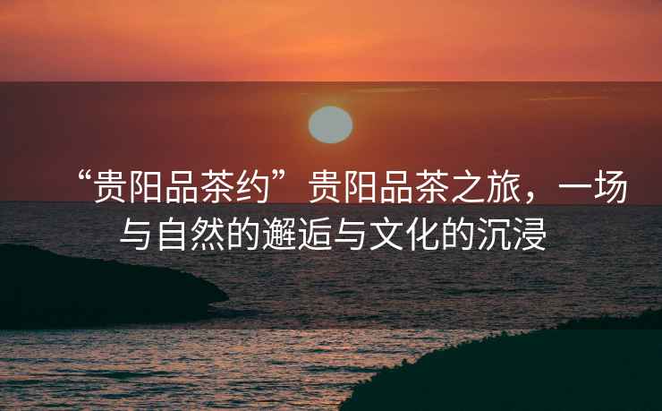 “貴陽(yáng)品茶約”貴陽(yáng)品茶之旅，一場(chǎng)與自然的邂逅與文化的沉浸