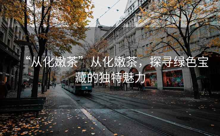 “從化嫩茶”從化嫩茶，探尋綠色寶藏的獨特魅力