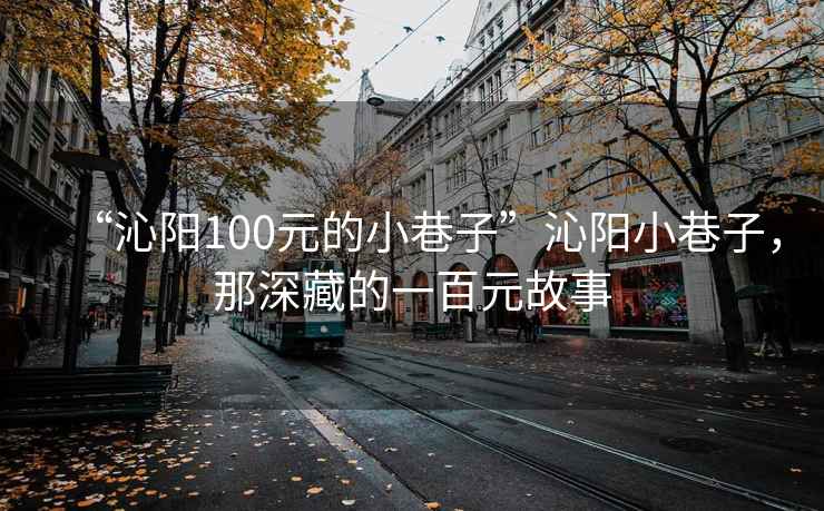 “沁陽(yáng)100元的小巷子”沁陽(yáng)小巷子，那深藏的一百元故事