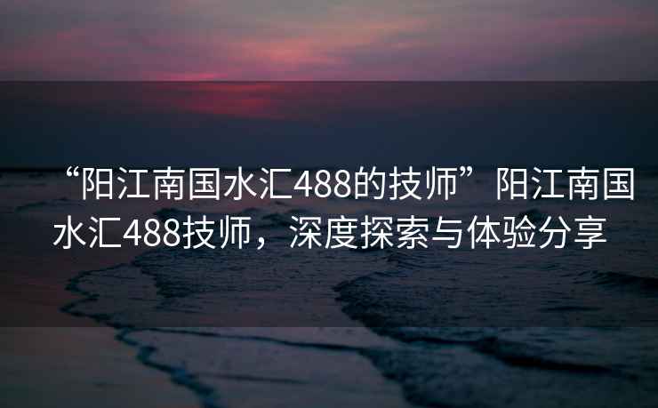 “陽(yáng)江南國水匯488的技師”陽(yáng)江南國水匯488技師，深度探索與體驗分享