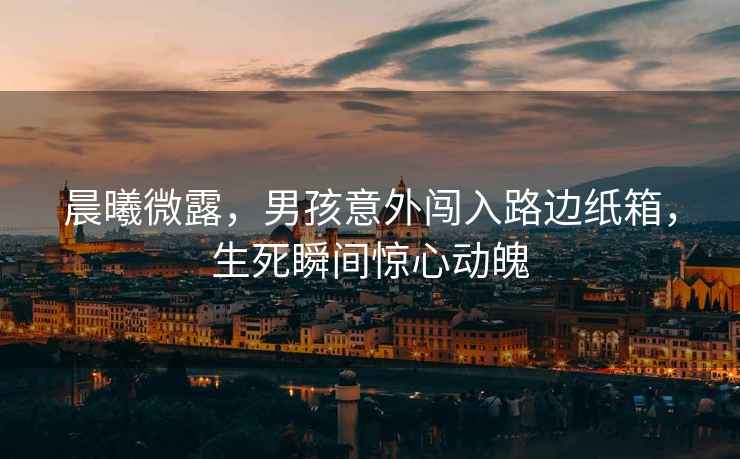 晨曦微露，男孩意外闖入路邊紙箱，生死瞬間驚心動(dòng)魄