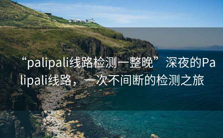 “palipali線(xiàn)路檢測一整晚”深夜的Palipali線(xiàn)路，一次不間斷的檢測之旅