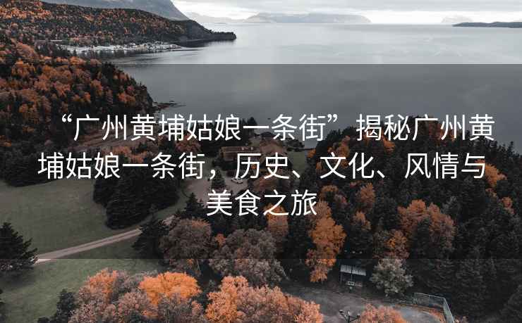 “廣州黃埔姑娘一條街”揭秘廣州黃埔姑娘一條街，歷史、文化、風(fēng)情與美食之旅