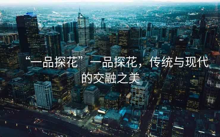 “一品探花”一品探花，傳統與現代的交融之美