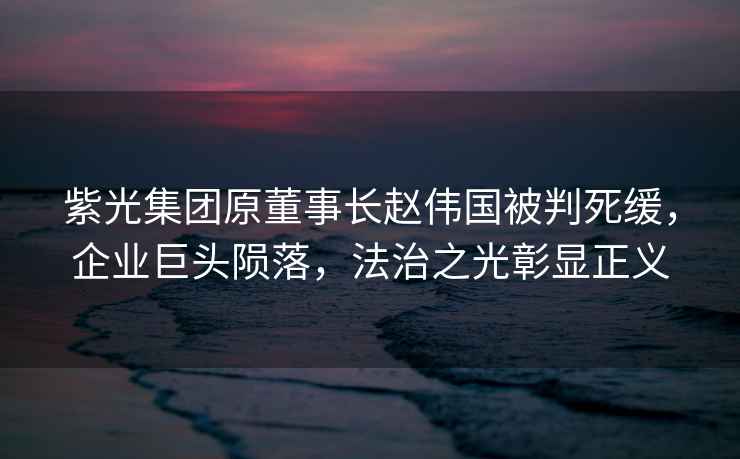 紫光集團原董事長(cháng)趙偉國被判死緩，企業(yè)巨頭隕落，法治之光彰顯正義