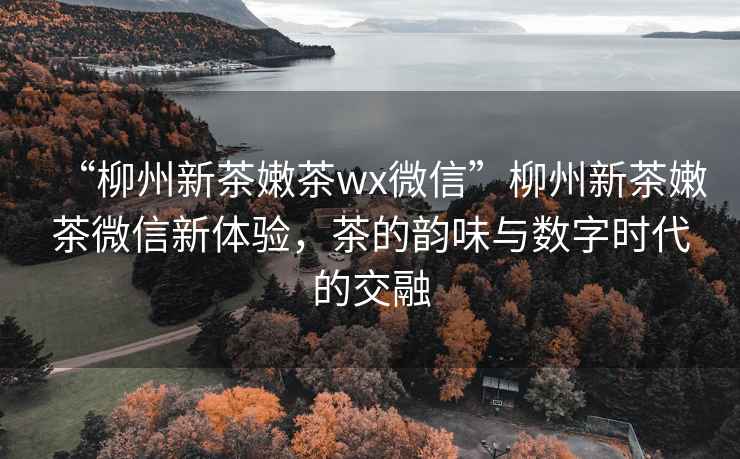 “柳州新茶嫩茶wx微信”柳州新茶嫩茶微信新體驗，茶的韻味與數字時(shí)代的交融