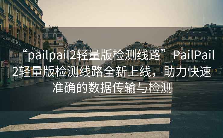 “pailpail2輕量版檢測線(xiàn)路”P(pán)ailPail2輕量版檢測線(xiàn)路全新上線(xiàn)，助力快速準確的數據傳輸與檢測