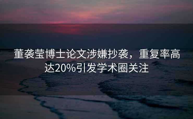 董襲瑩博士論文涉嫌抄襲，重復率高達20%引發(fā)學(xué)術(shù)圈關(guān)注