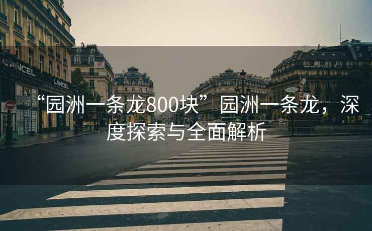 “園洲一條龍800塊”園洲一條龍，深度探索與全面解析
