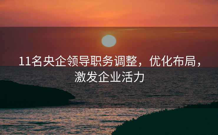 11名央企領(lǐng)導職務(wù)調整，優(yōu)化布局，激發(fā)企業(yè)活力