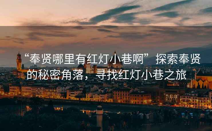 “奉賢哪里有紅燈小巷啊”探索奉賢的秘密角落，尋找紅燈小巷之旅