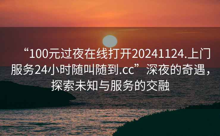 “100元過(guò)夜在線(xiàn)打開(kāi)20241124.上門(mén)服務(wù)24小時(shí)隨叫隨到.cc”深夜的奇遇，探索未知與服務(wù)的交融