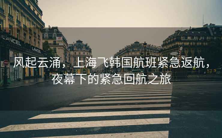 風(fēng)起云涌，上海飛韓國航班緊急返航，夜幕下的緊急回航之旅