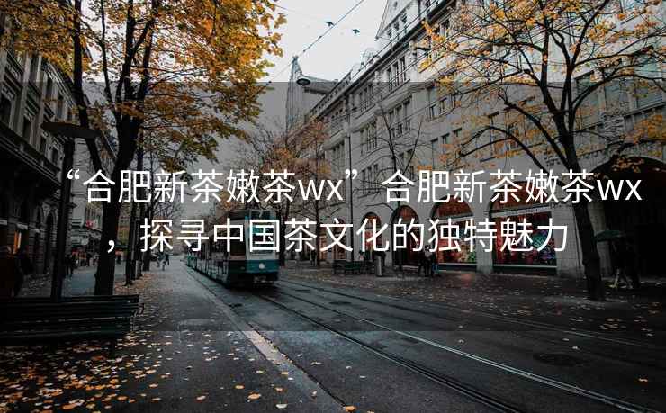 “合肥新茶嫩茶wx”合肥新茶嫩茶wx，探尋中國茶文化的獨特魅力