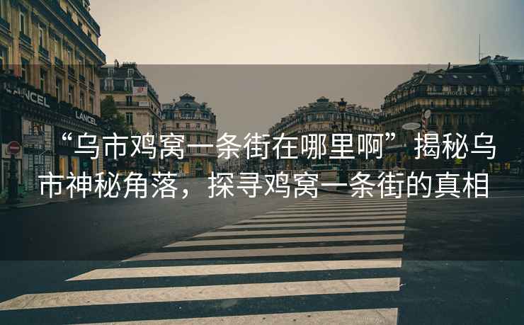 “烏市雞窩一條街在哪里啊”揭秘烏市神秘角落，探尋雞窩一條街的真相
