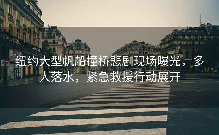 紐約大型帆船撞橋悲劇現場(chǎng)曝光，多人落水，緊急救援行動(dòng)展開(kāi)