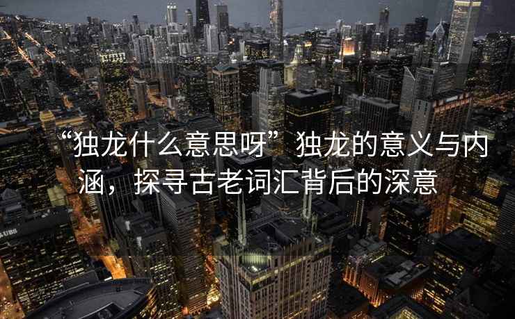 “獨龍什么意思呀”獨龍的意義與內涵，探尋古老詞匯背后的深意