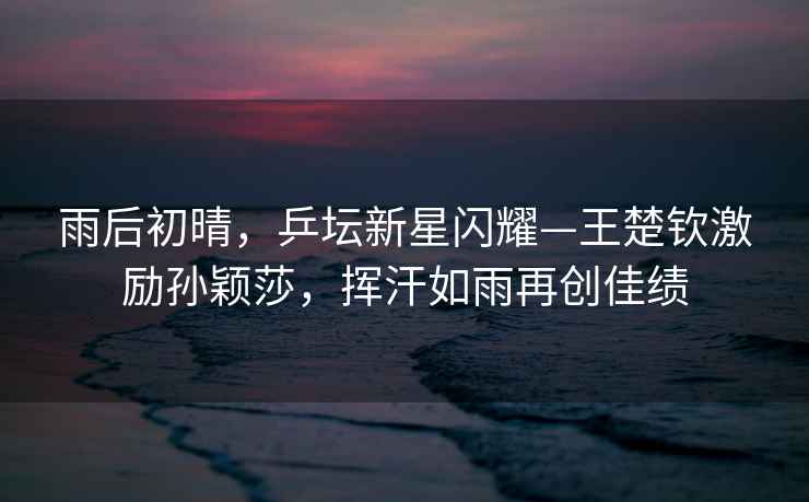 雨后初晴，乒壇新星閃耀—王楚欽激勵孫穎莎，揮汗如雨再創(chuàng  )佳績(jì)