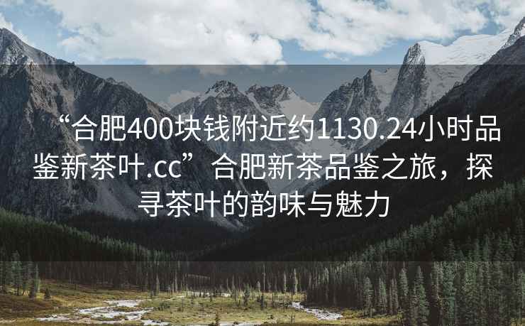 “合肥400塊錢(qián)附近約1130.24小時(shí)品鑒新茶葉.cc”合肥新茶品鑒之旅，探尋茶葉的韻味與魅力