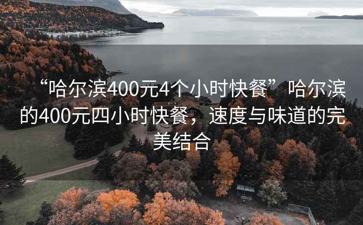 “哈爾濱400元4個(gè)小時(shí)快餐”哈爾濱的400元四小時(shí)快餐，速度與味道的完美結合