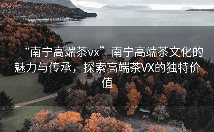“南寧高端茶vx”南寧高端茶文化的魅力與傳承，探索高端茶VX的獨特價(jià)值