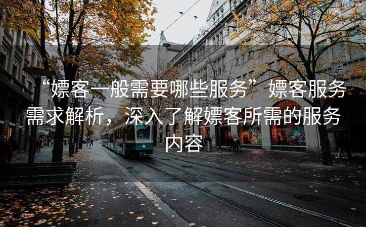 “嫖客一般需要哪些服務(wù)”嫖客服務(wù)需求解析，深入了解嫖客所需的服務(wù)內容