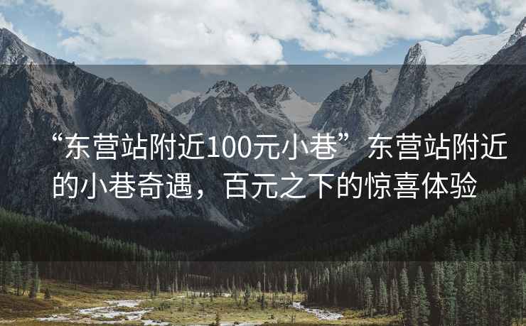 “東營(yíng)站附近100元小巷”東營(yíng)站附近的小巷奇遇，百元之下的驚喜體驗