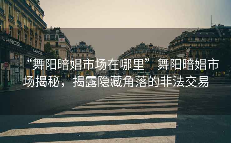 “舞陽(yáng)暗娼市場(chǎng)在哪里”舞陽(yáng)暗娼市場(chǎng)揭秘，揭露隱藏角落的非法交易