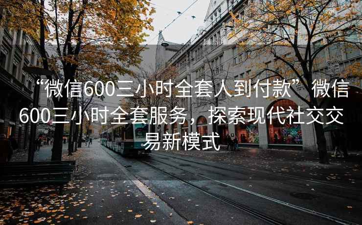 “微信600三小時(shí)全套人到付款”微信600三小時(shí)全套服務(wù)，探索現代社交交易新模式
