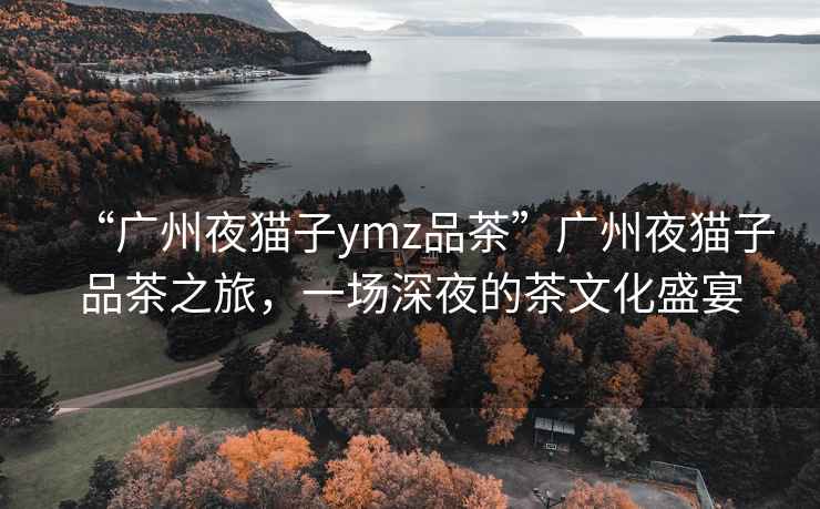 “廣州夜貓子ymz品茶”廣州夜貓子品茶之旅，一場(chǎng)深夜的茶文化盛宴