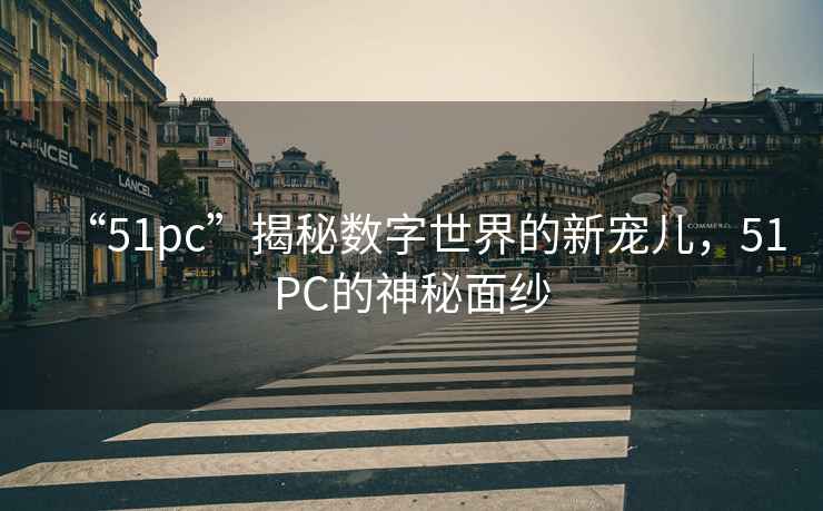 “51pc”揭秘數字世界的新寵兒，51PC的神秘面紗