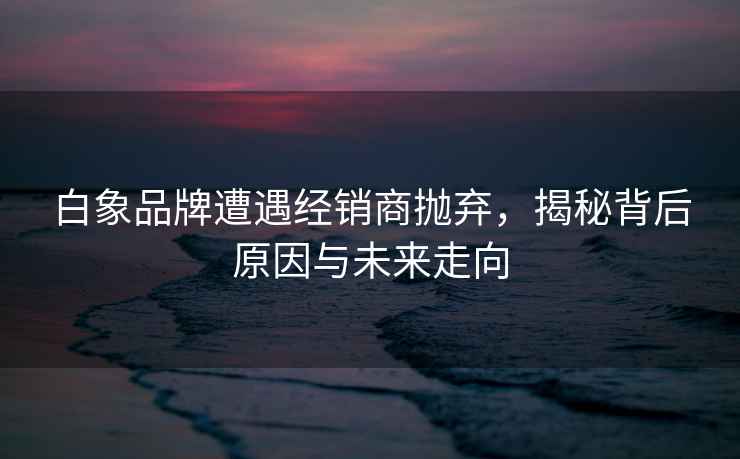 白象品牌遭遇經(jīng)銷(xiāo)商拋棄，揭秘背后原因與未來(lái)走向