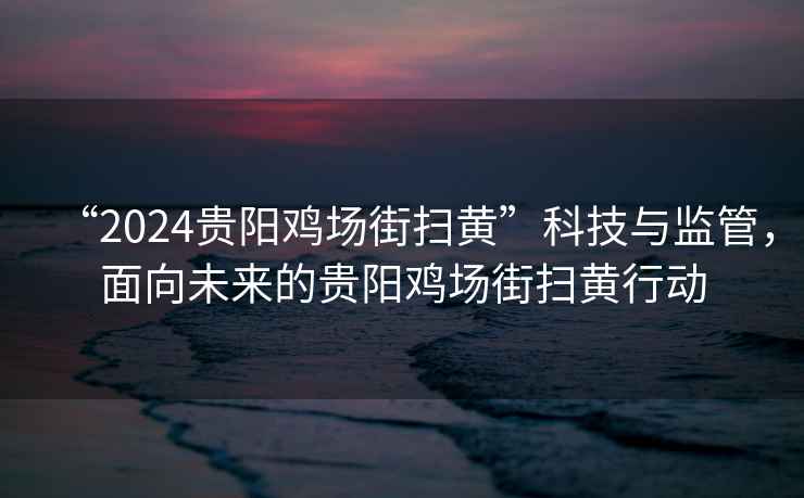 “2024貴陽(yáng)雞場(chǎng)街掃黃”科技與監管，面向未來(lái)的貴陽(yáng)雞場(chǎng)街掃黃行動(dòng)